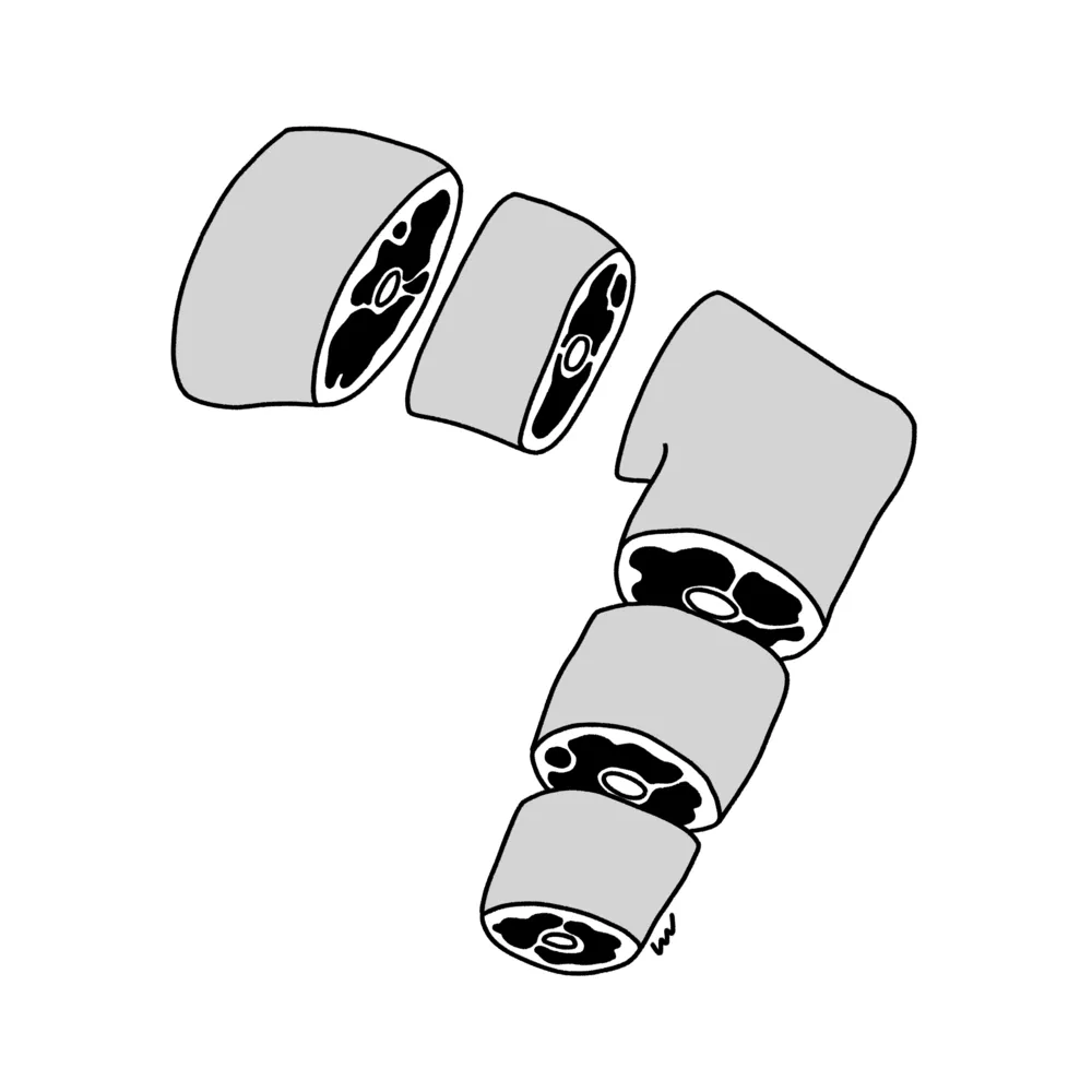 Illustration 20210924